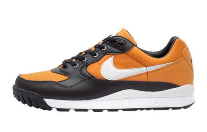 Nike Air Wildwood ACG