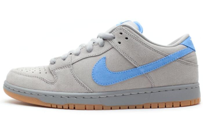 Nike Dunk SB Low Iron Low