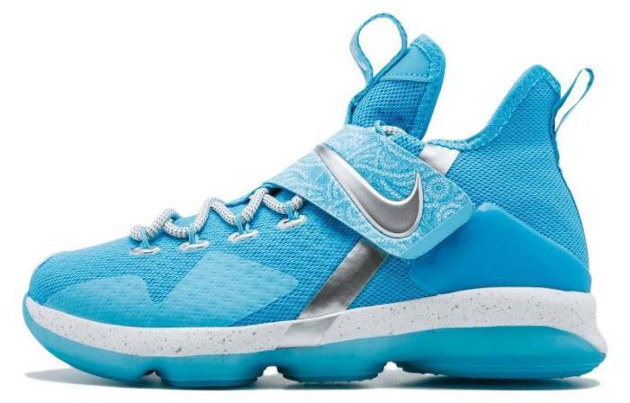 GS Nike LeBron 14 Ric Flair