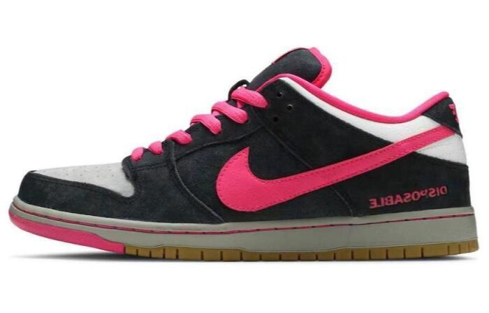 Nike Dunk SB Low Disposable