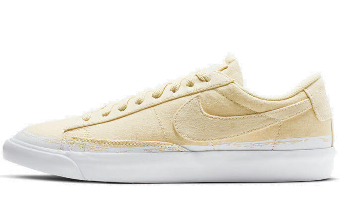 Nike Blazer SB Low "Procell"