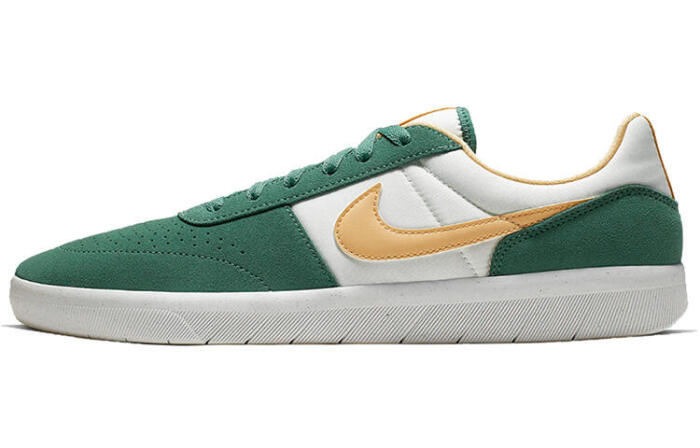 Nike SB Team Classic