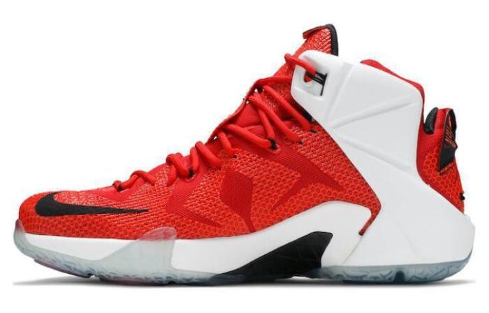 Nike LeBron 12 "Heart of a Lion" 12