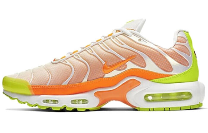 Nike Air Max Plus TPU