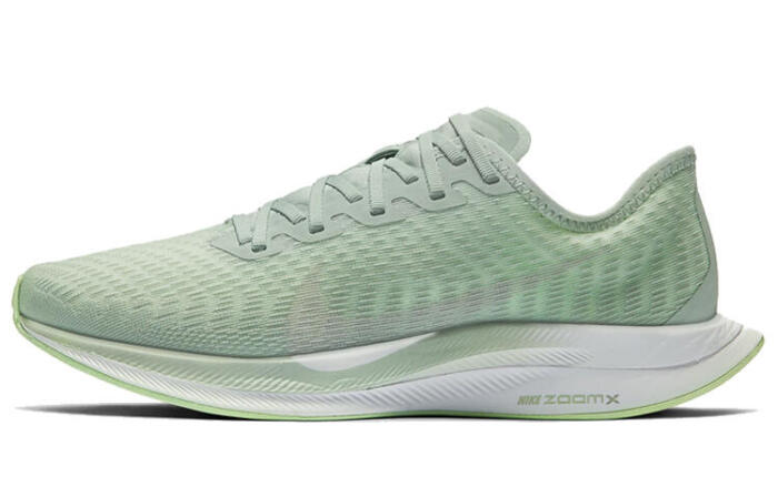 Nike Pegasus turbo 2 ZOOM X RISE