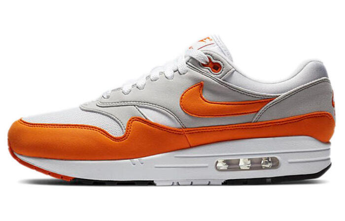 Nike Air Max 1