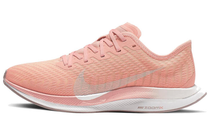 Nike Pegasus turbo 2 Logo