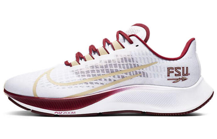 Nike Pegasus 37 Florida State