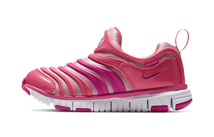 Nike Dynamo Free