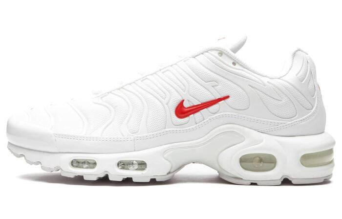 Supreme x  Nike Air Max Plus TN