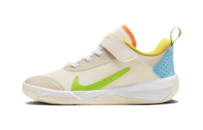 Nike Omni Multi-Court Multi-Court