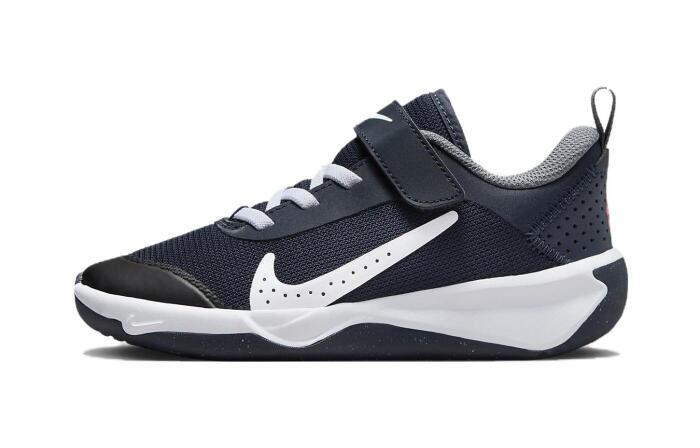 Nike Omni Multi-Court Multi-Court