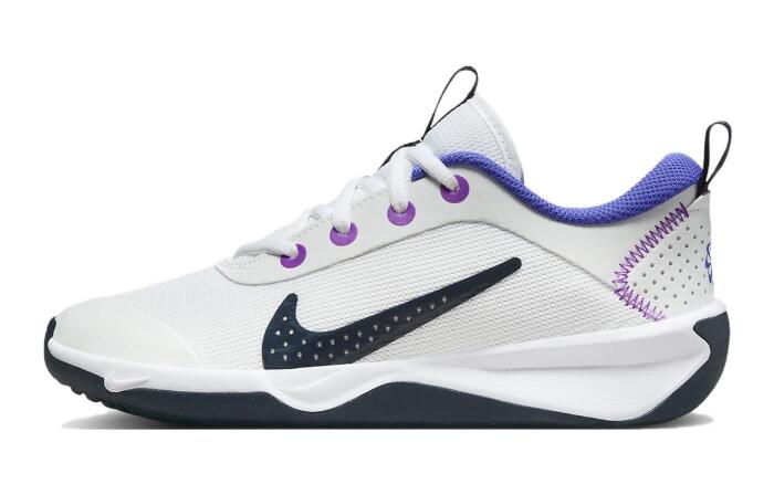 Nike Omni Multi-Court Multi-Court