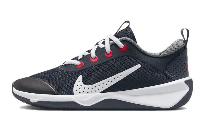 Nike Omni Multi-Court