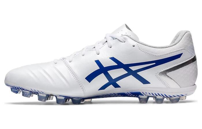 Asics DS LIGHT AG()