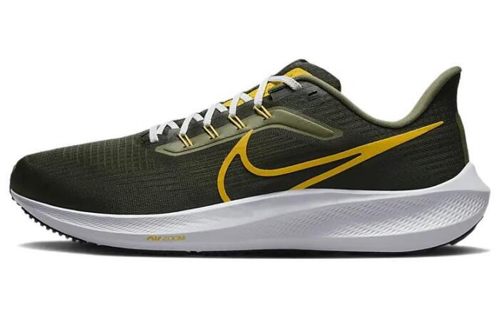 Nike Pegasus 39