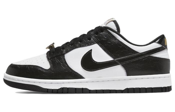 Nike Dunk retro se "world champ"