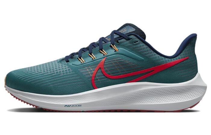 Nike Air Zoom Pegasus 39