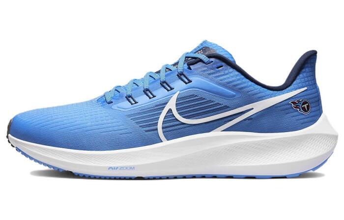 Nike Air Zoom Pegasus 39