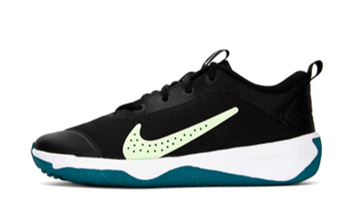 Nike Omni Multi-Court