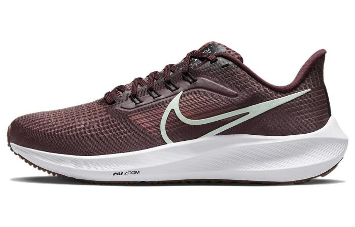 Nike Air Zoom Pegasus 39