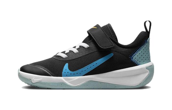 Nike Omni Multi-Court Multi-Court
