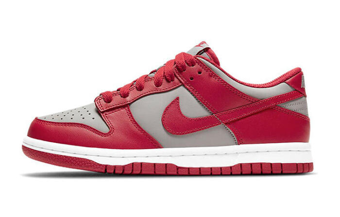 Nike Dunk Medium Grey