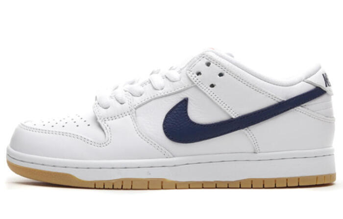 Nike Dunk SB Pro