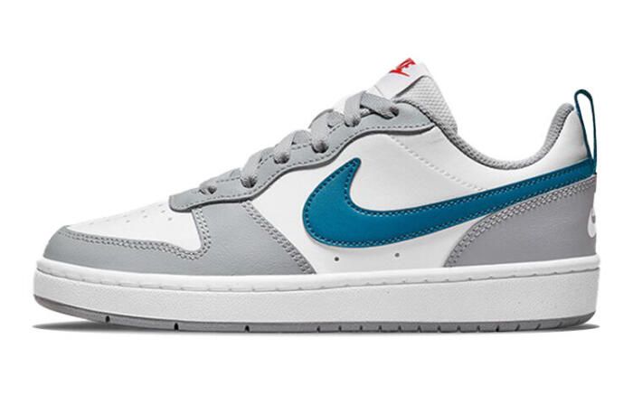 Nike Court Borough Dior
