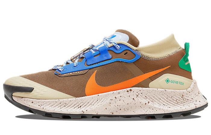 Nike Pegasus Trail 3