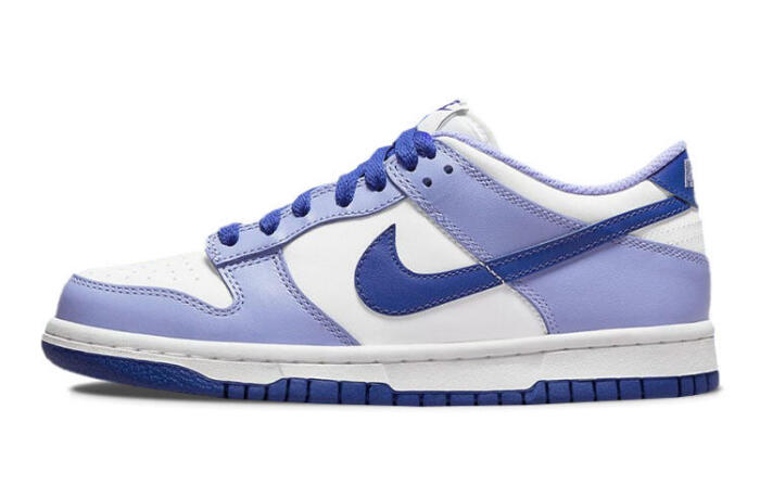 Nike Dunk "Blueberry"