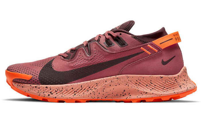 Nike Pegasus Trail 2