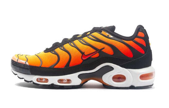Nike Air Max Plus