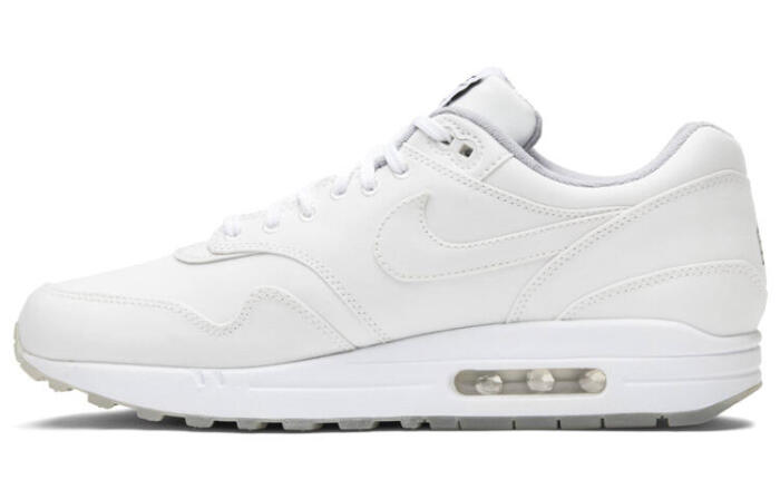 Nike Air Max 1 X DSM