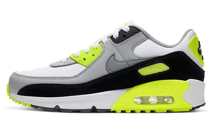 Nike Air Max 90 LTR