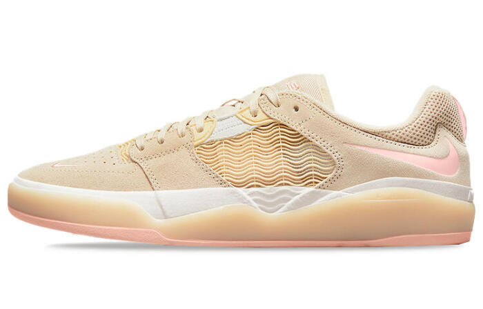 Nike SB Ishod