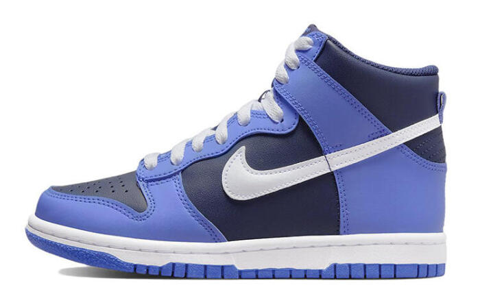 Nike Dunk Obsidian