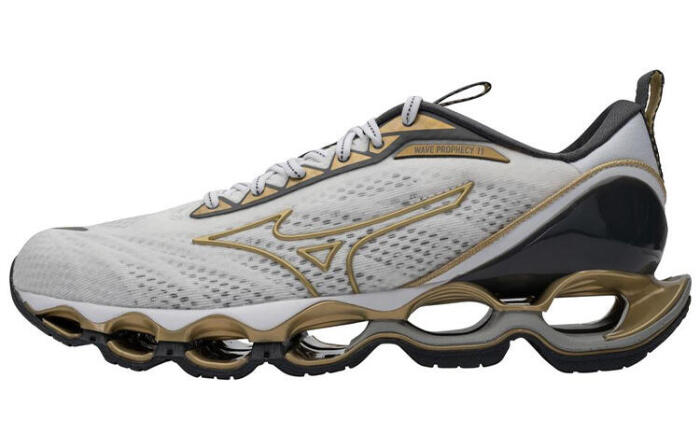Mizuno Prophecy 11