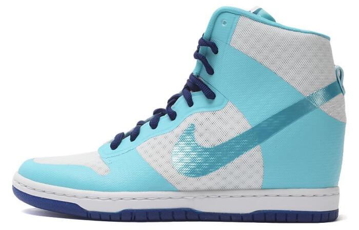 Nike Dunk High 2.0
