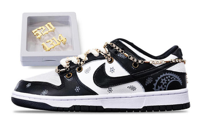 Nike Dunk 2.0 Vibe GS