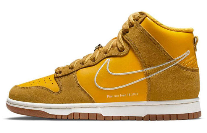 Nike Dunk High "First Use"