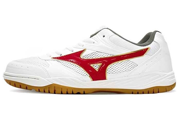 Mizuno School Indoor