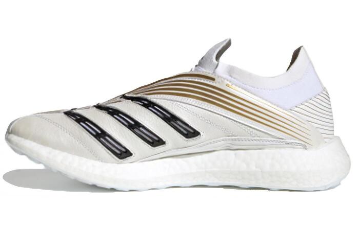 adidas Predator Absolute 20 TR MG()