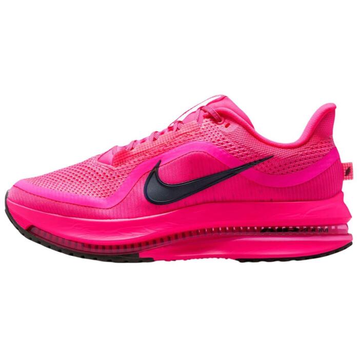 Nike Pegasus Premium WMNS