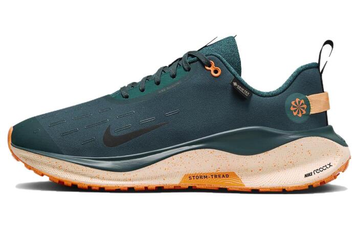 Nike React Infinity Run Flyknit 4 GTX